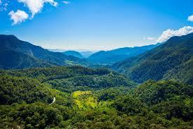 Bosque de Protección Alto Mayo